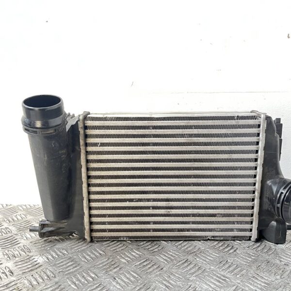 INTERCOOLER RENAULT MEGANE IV BERLINA 5P [144614ED0A]