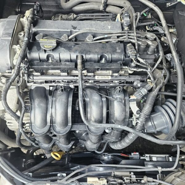 MOTOR COMPLETO FORD FOCUS BERLINA (CB8) [PNDA]