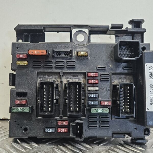 CAJA RELES / FUSIBLES PEUGEOT 307 (S1)(04.2001) [9650664080]
