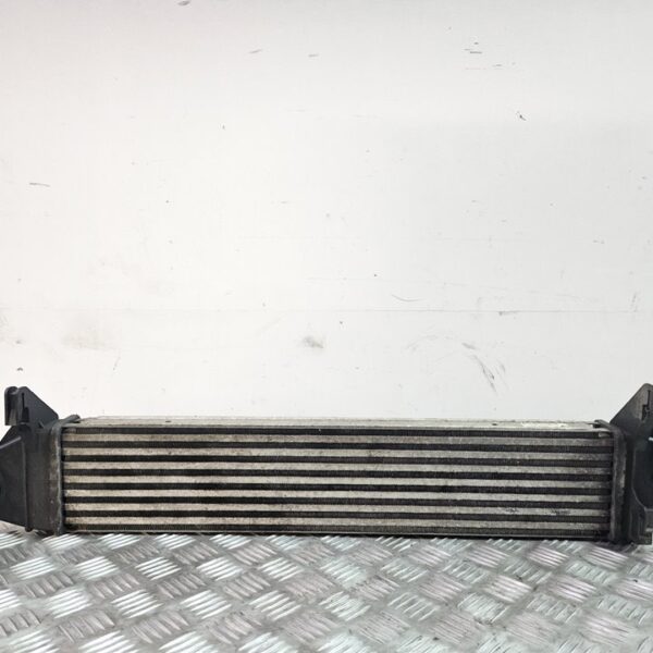 INTERCOOLER DACIA LOGAN 1 [8200409045A]