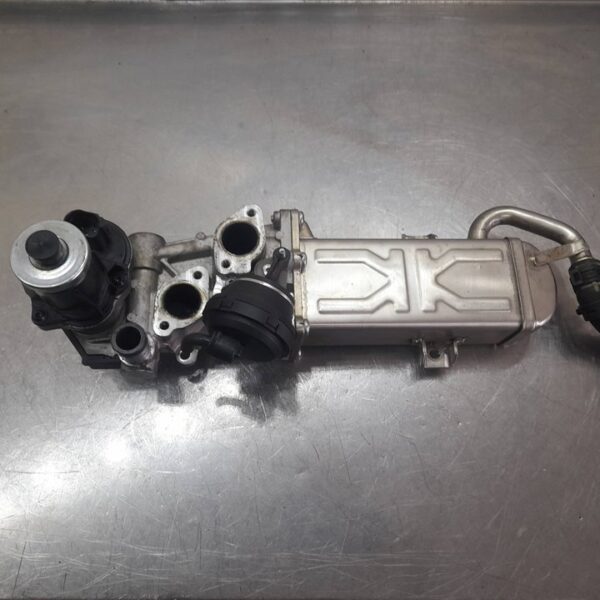 VALVULA EGR VOLKSWAGEN GOLF VI (5K1)(10.2008) [709720000]