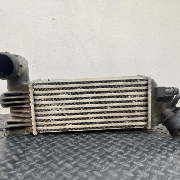 INTERCOOLER PEUGEOT 406 BERLINA (S1/S2) [9636195580]