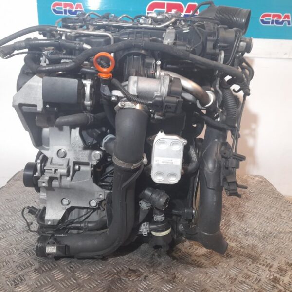 MOTOR COMPLETO VOLKSWAGEN POLO V (6R1) [CAYB]