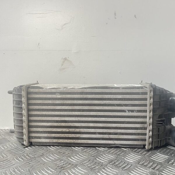 INTERCOOLER PEUGEOT 208 [9803900780]