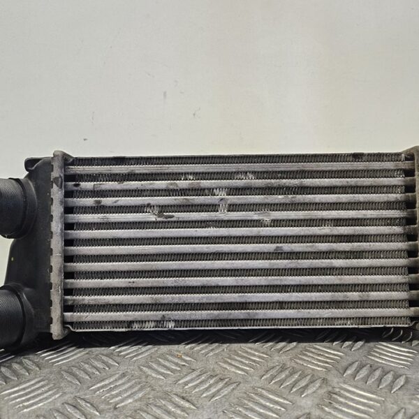 INTERCOOLER PEUGEOT 307 (S1)(04.2001) [9648551880]