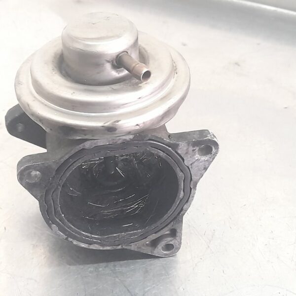 VALVULA EGR VOLKSWAGEN GOLF V (1K1)(10.2003) [038131501AN]