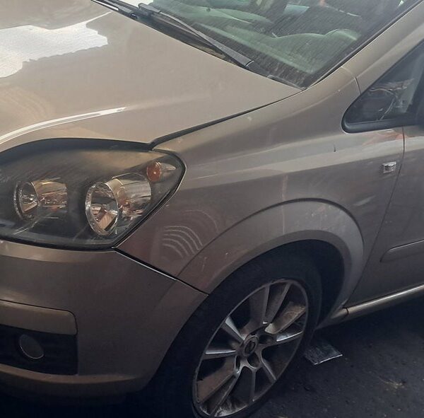 OPEL ZAFIRA B [Family]