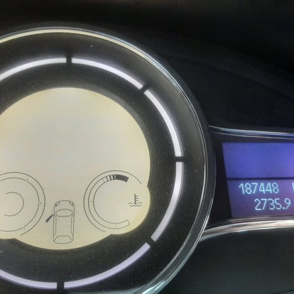 RENAULT MEGANE III COUPE [Color Edition]