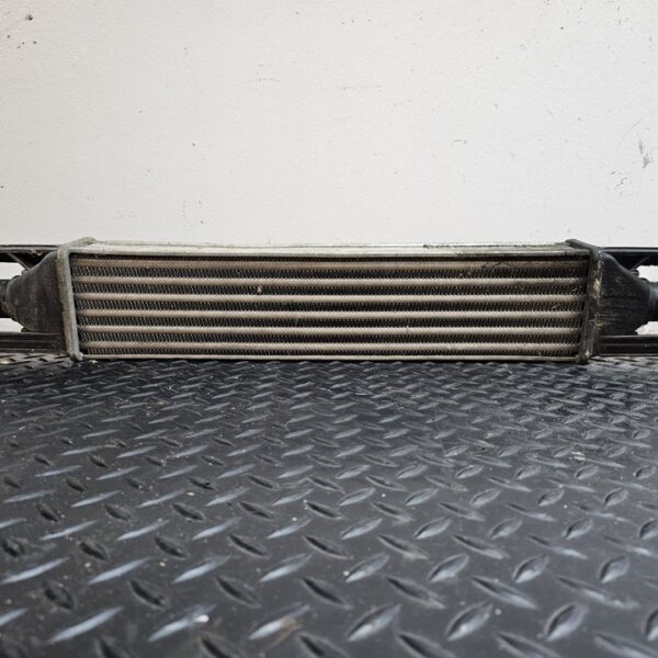 INTERCOOLER FIAT GRANDE PUNTO (199) [866450200]