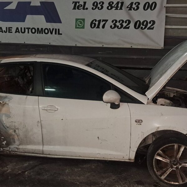 SEAT IBIZA SC (6J1) [Color Edition]