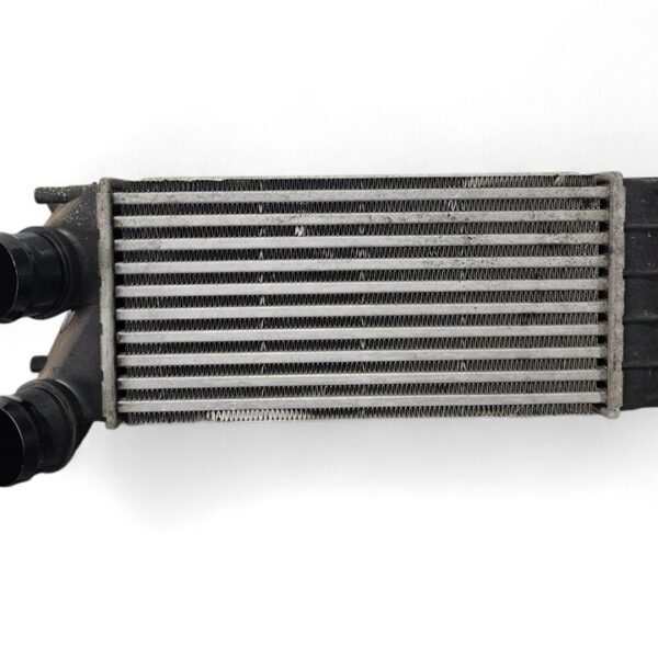 INTERCOOLER CITROEN C4 BERLINA [9684212480]