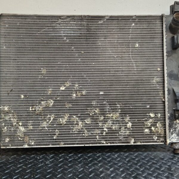 RADIADOR AGUA DACIA SANDERO [21407326R]