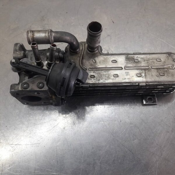 ENFRIADOR EGR VOLKSWAGEN PASSAT VARIANT (3C5) [03G131513J]