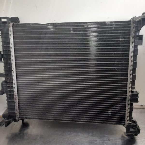 RADIADOR AGUA OPEL MERIVA B [13283249]