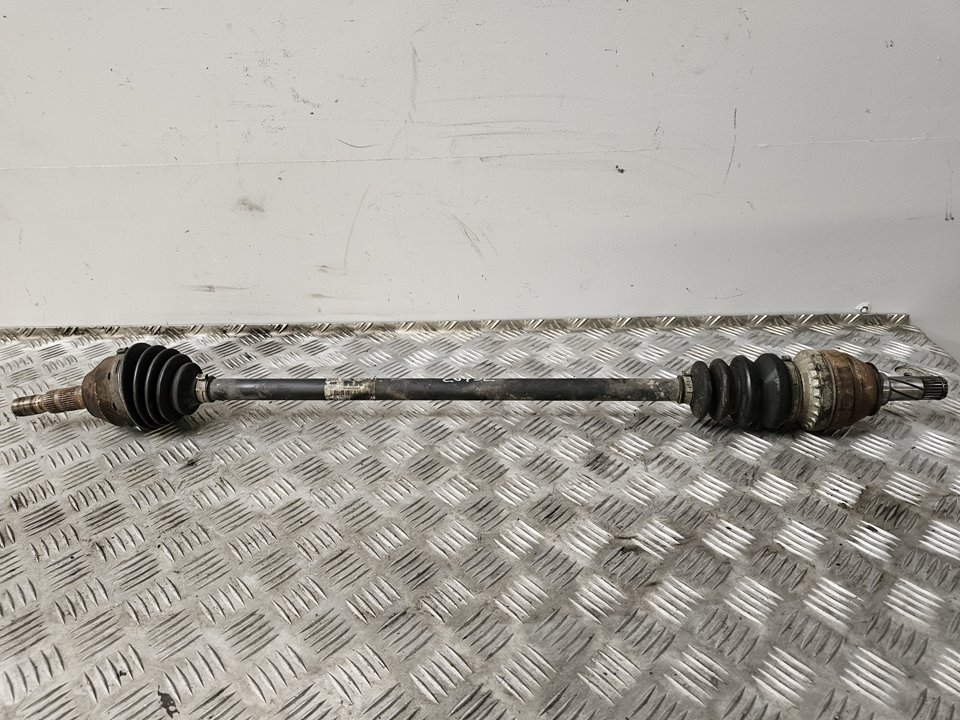 4YBLzFFhT5xh4dIw3wZ-AEUwdXW9dmE0EY_UJR4W5hBnrnO2-mulmQabduscan