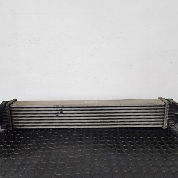 INTERCOOLER MERCEDES-BENZ CLASE A (BM 169) [A1695000000]