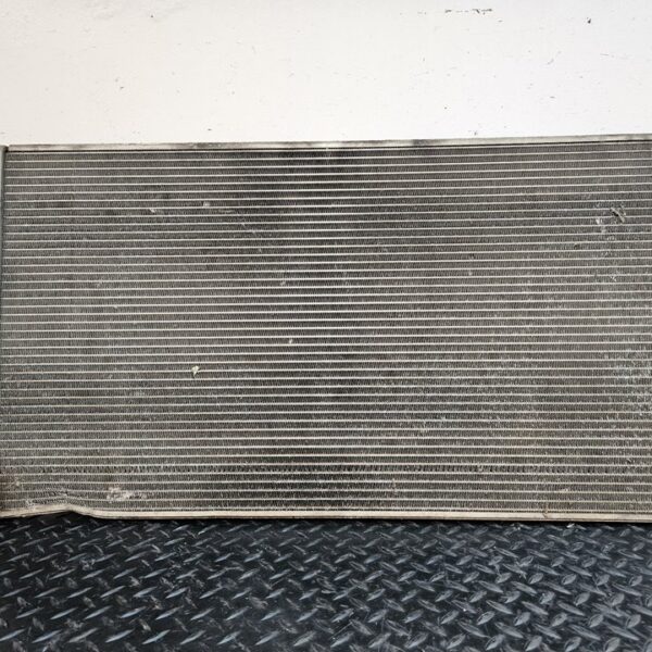 RADIADOR AGUA RENAULT MASTER BUS [865691P]