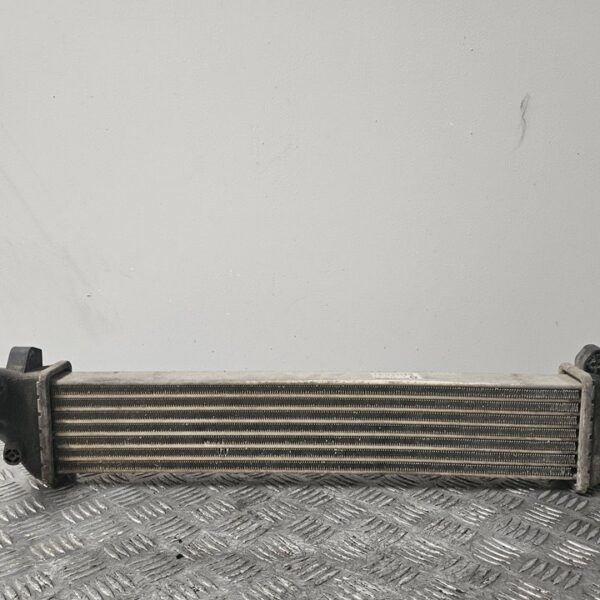 INTERCOOLER RENAULT KANGOO I (F/KC0) [8200221855A]