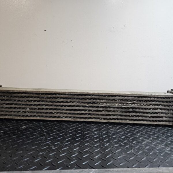 INTERCOOLER MERCEDES-BENZ CLASE A (BM 169) [A1695000000]