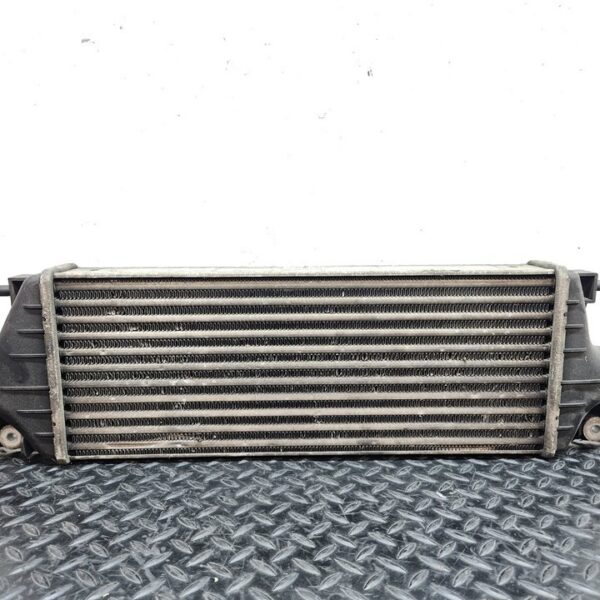 INTERCOOLER SUZUKI SX4 (RW/EY) [1362079J80]