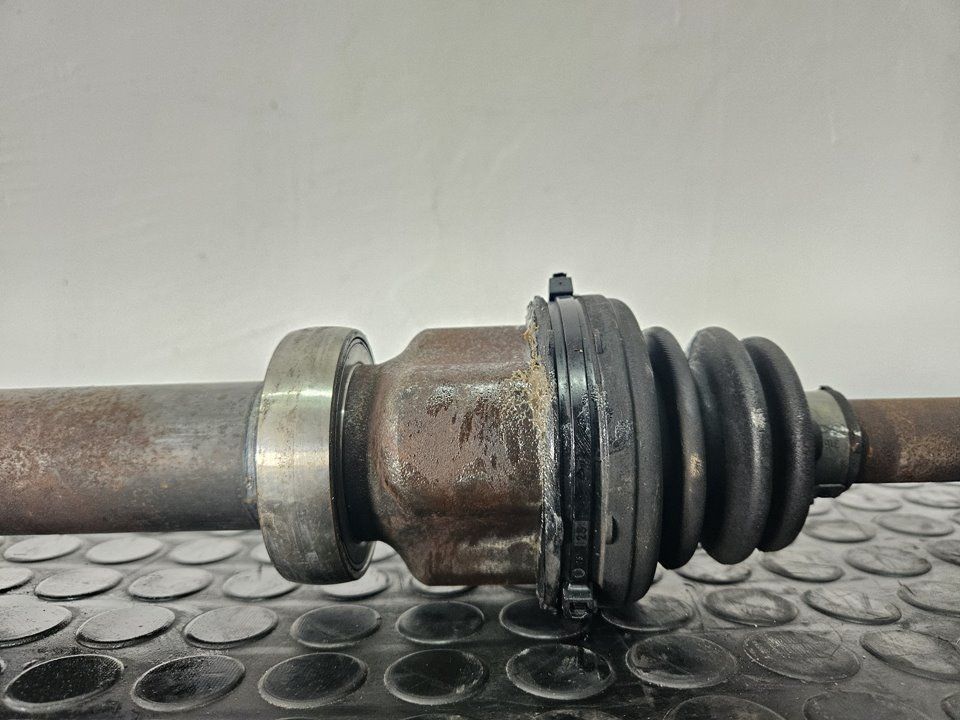 BkiOLFkvHo4Ehgt4PUvwtJT6BcLgqBWPXkniOX6tg7iYllHnZFKDTgabduscan-1