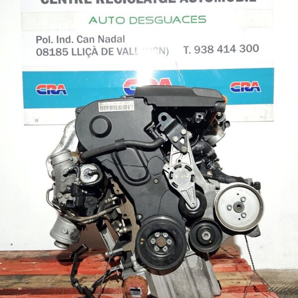 MOTOR COMPLETO AUDI A6 AVANT (4F5) [BPJ]