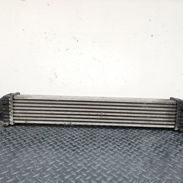 INTERCOOLER MERCEDES-BENZ CLASE A (BM 169) [A1695000000]