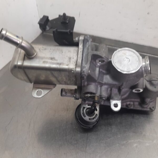 VALVULA EGR RENAULT MEGANE III BERLINA 5P [H8200804050]