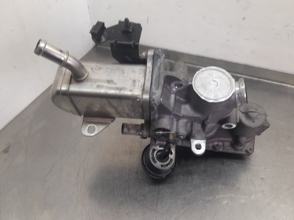 GUq9IxvjQVwUxl1kTX-AF0hGB0seBGh5hc9AJmOi-272MezHwQIc3Qabduscan