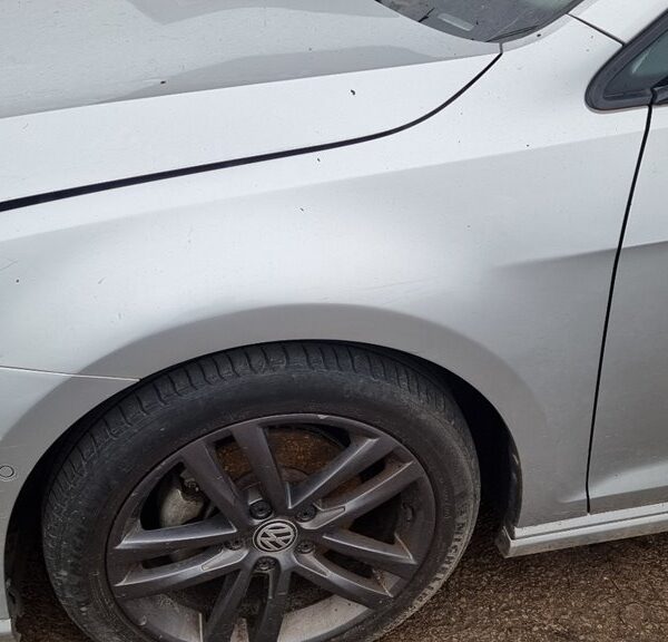 ALETA DELANTERA IZQUIERDA VOLKSWAGEN GOLF VII VARIANT (BV5) [5G0821105]