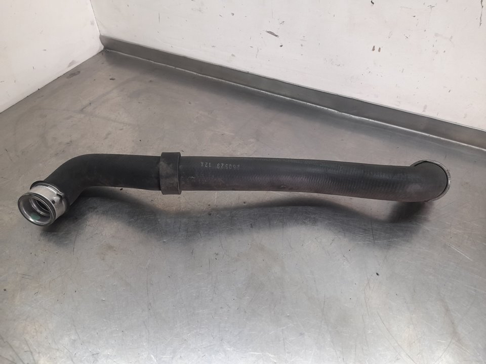 NBbAlbjN9r7182pZz-IX1uWeh4vsJ3e2XPNF1sJU-p_pADoHhXtWCgabduscan