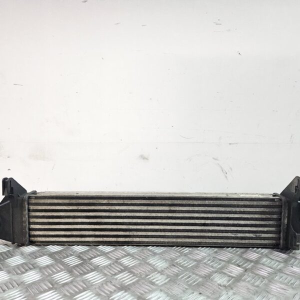 INTERCOOLER DACIA LOGAN 1 [8200409045A]