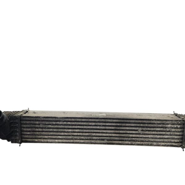 INTERCOOLER RENAULT SCENIC III (JZ) [144963541R]