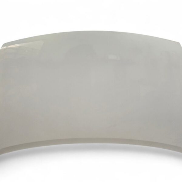 CAPO PEUGEOT PARTNER FURGÓN [7901P7]