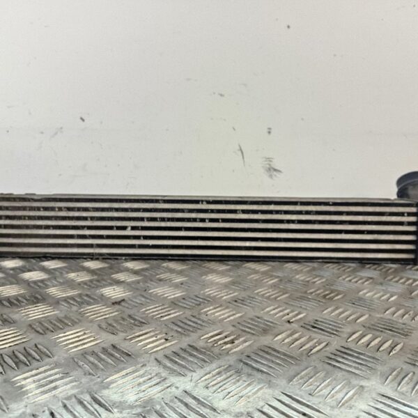 INTERCOOLER RENAULT SCENIC III (JZ) [144960006R]