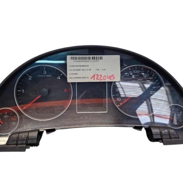 CUADRO INSTRUMENTOS AUDI A4 AVANT (8E) [0263626090]