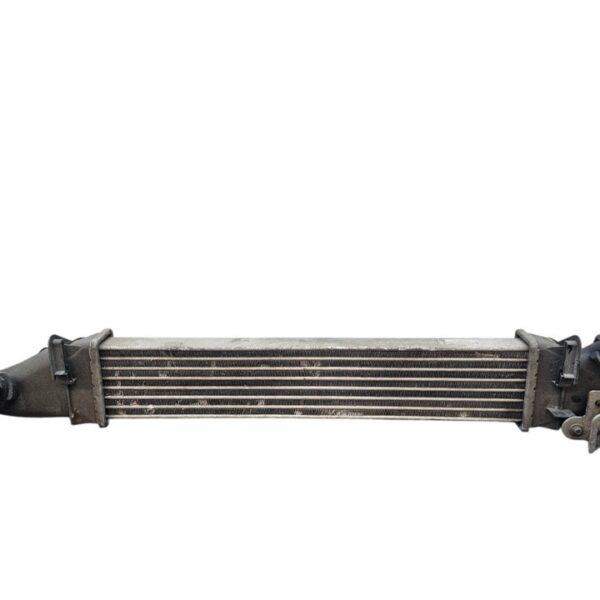 INTERCOOLER DACIA LOGAN [8200424155]