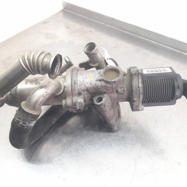 VALVULA EGR FIAT GRANDE PUNTO (199) [55204941]