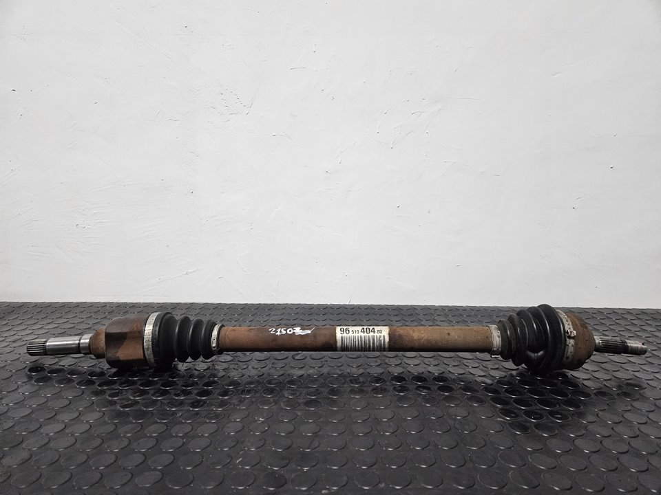 Wv5G2kNKENv2sHnxTilKj3wNik1L6pC2Hn9Gn6Y2xUo0BXehm6ohgwabduscan