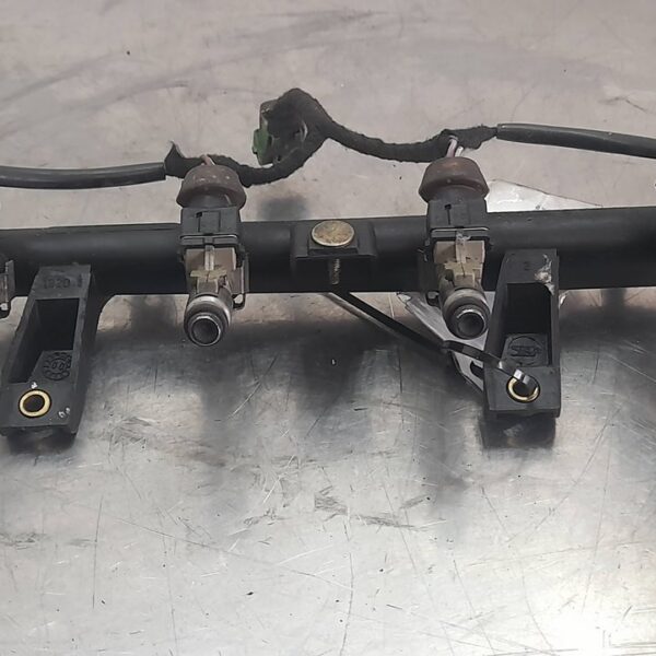 RAMPA INYECTORA PEUGEOT 206 BERLINA 4-PT. [9625194080]