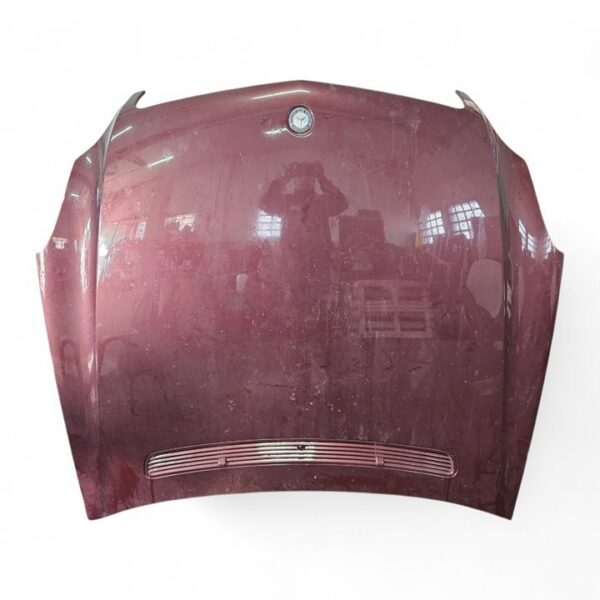 CAPO MERCEDES-BENZ CLS (BM 219) [A2198800157]