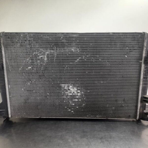 RADIADOR AGUA RENAULT SCENIC III (JZ) [214100017RD]