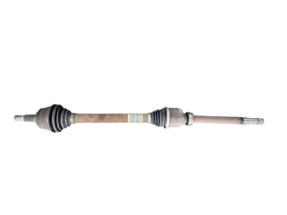 dO5LIGXrbKwDs65ldSHUn0RK1j3kHjfGFTtg4OSXQRspRWnpOH_q6gabduscan