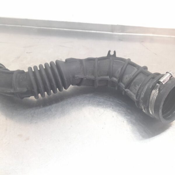 TUBO RENAULT CLIO III [8200500383]