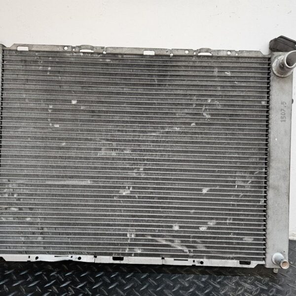 RADIADOR AGUA RENAULT CLIO III [8200688390]