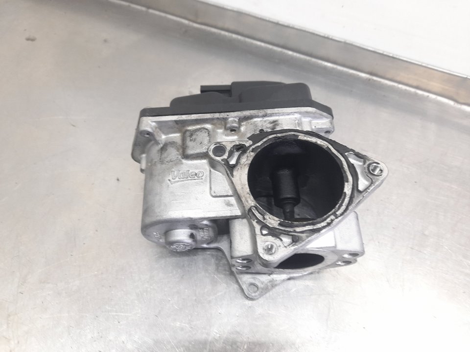 f_TPcV82SkthujLWZpHEqNzSmKi4QvFlYKMPy6iWEek9VRS1pKZkjwabduscan