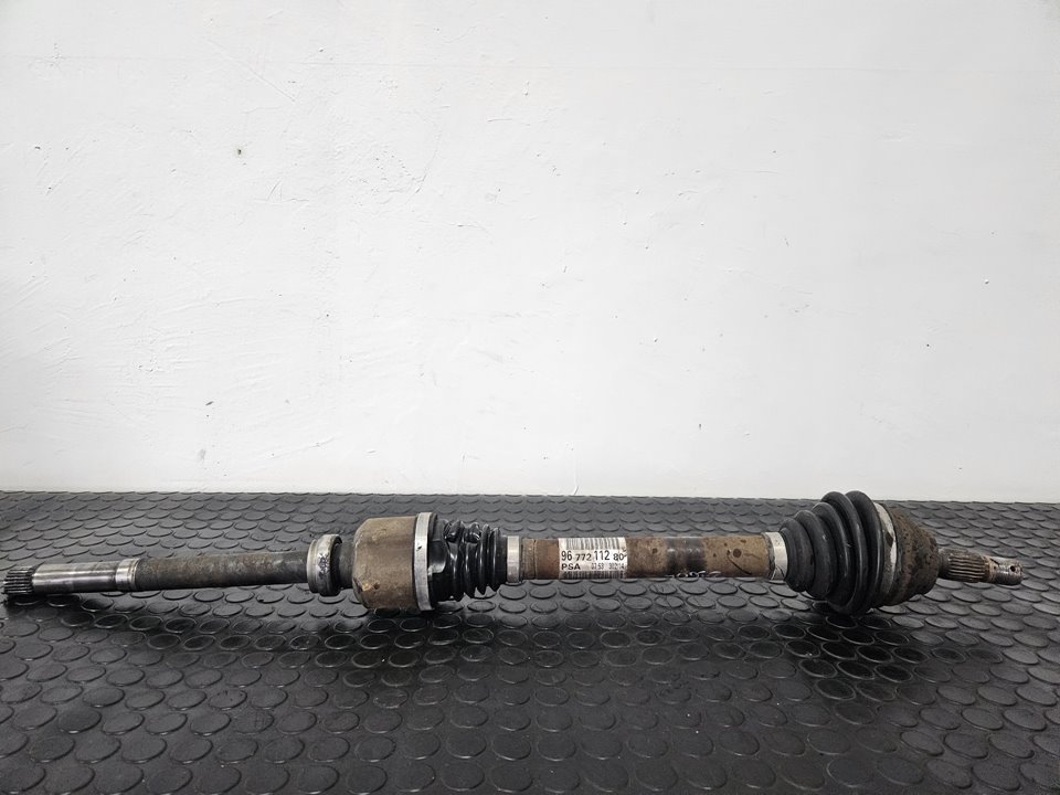 fuPNN6ZfE5_eps_BmrhflFivrvQOdniIz74MwS7-Ch2V-v5KtuLYAabduscan-1