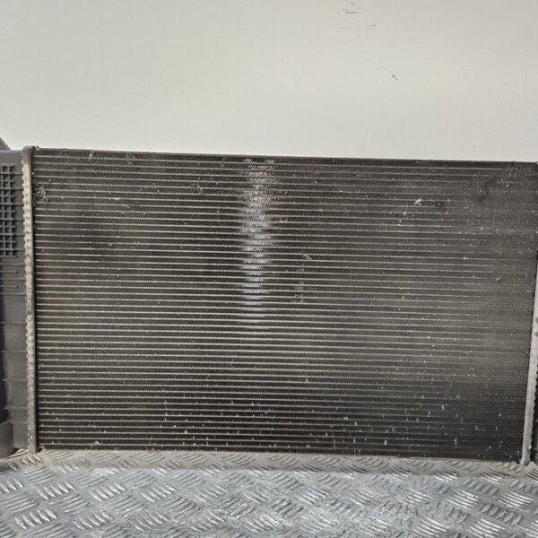 RADIADOR AGUA RENAULT SCENIC III (JZ) [214100002R]