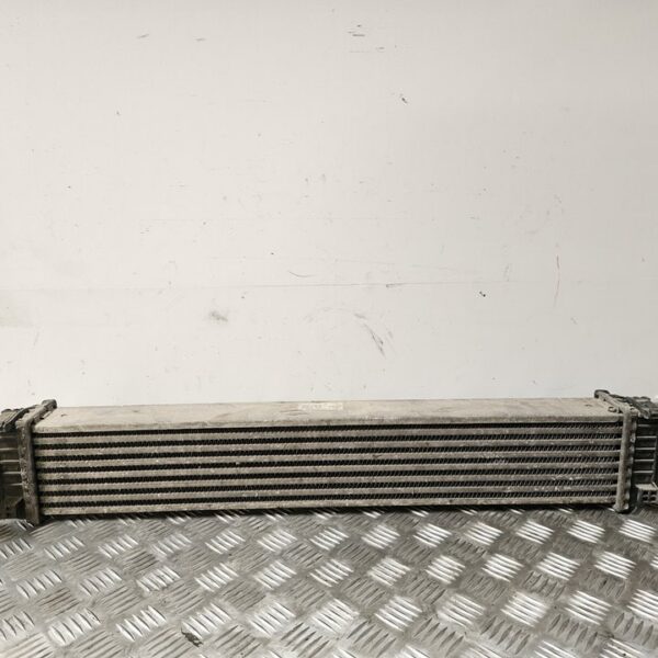 INTERCOOLER MERCEDES-BENZ CLASE A (BM 169) [A1695000000]