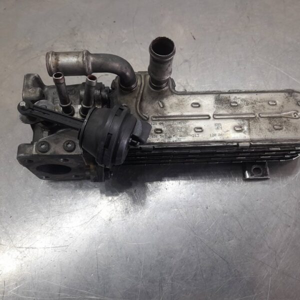 ENFRIADOR EGR VOLKSWAGEN PASSAT VARIANT (3C5) [03G131513J]